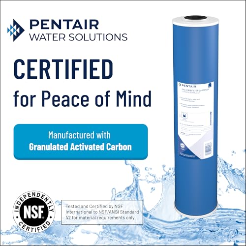 Pentair Pentek GAC-10 10" x 2.5" Carbon Water Filter, Pack of 2 - size: Pack of 2, style: 10" x 2.5"