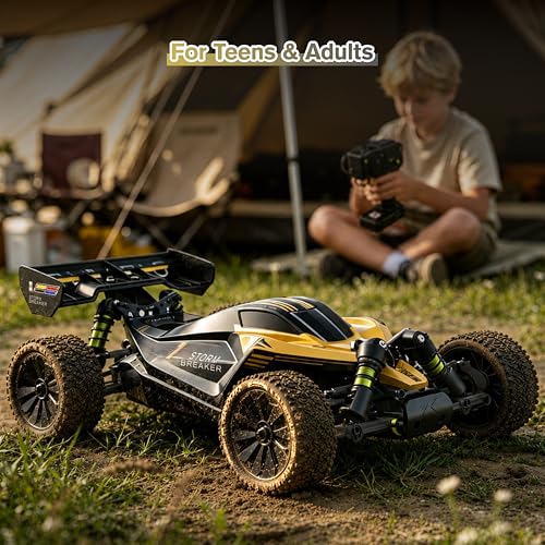 RLAARLO 1/10 Brushless RC Cars, 4×4 Buggy, 50+ MPH, Carbon Fiber, Ages 8+