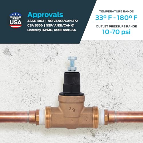 Cash Acme EB45 Pressure Regulating Valve, 3/4 Inch NPT Threaded, Poly Top, 60 PSI, PVA16P-DTH-60 - size: 3/4 in., 60 PSI