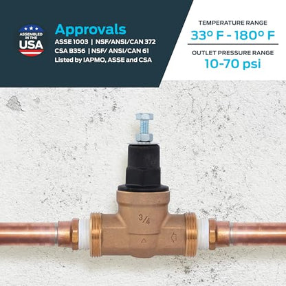 Cash Acme EB45 Pressure Regulating Valve, 3/4 Inch NPT Threaded, Poly Top, 60 PSI, PVA16P-DTH-60 - size: 3/4 in., 60 PSI