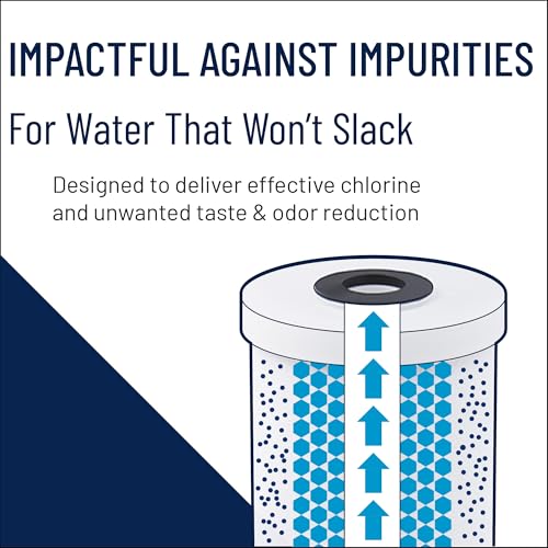 Pentair Pentek GAC-10 10" x 2.5" Carbon Water Filter, Pack of 2 - size: Pack of 2, style: 10" x 2.5"
