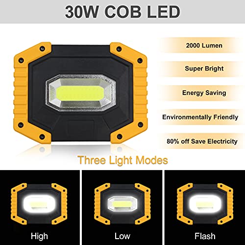 T-SUN Rechargeable LED Work Light,30W 2000LM COB Utility Light,2 Pack