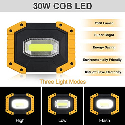 T-SUN Rechargeable LED Work Light,30W 2000LM COB Utility Light,2 Pack