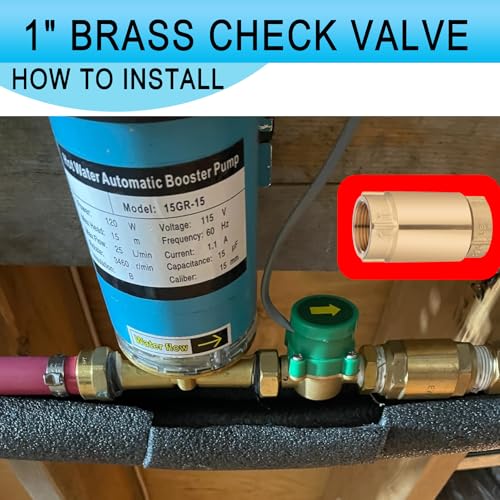(1 Pack) Asterbacks Check Foot Valve 1 Inch NPT Female Connection, Heavy Duty Prevent Backflow Media Valve for Water Pump, Irrigation System - style: Female 1" NPT