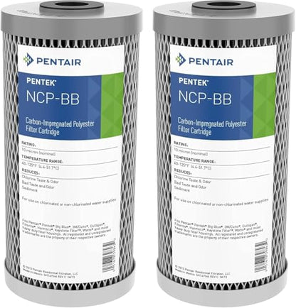 Pentair Pentek NCP-BB Big Blue 10" x 4.5" Carbon Water Filter, Pack of 2 - size: Pack of 2, style: 10" x 4.5"