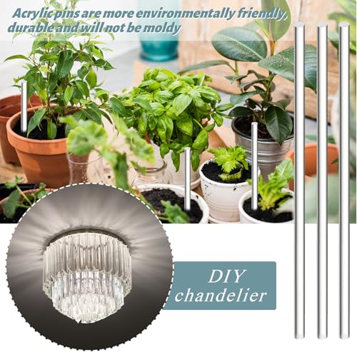 Zopeal 30 Pcs 12" Clear Acrylic Dowel Rod for Craft,0.31'' /8mm Diameter - size: 0.31 Inch (8 mm) Diameter