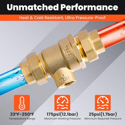 3/4" Backflow Preventer Valve 9D-M2 Brass Dual Check Valve Female NPT - size: 3/4 Inch