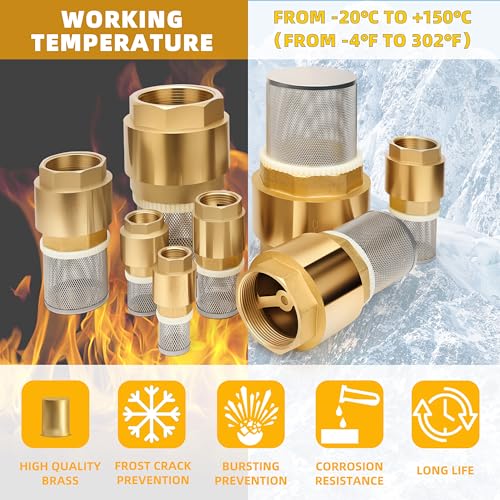 1-1/2" NPT Foot Valve with Filter, Brass, Heavy Duty, Female Thread, DN40 - size: 1 1/2 Inch