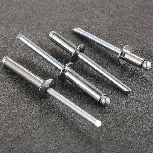 Wensilon (100Pcs)1/4"x5/8" stainless steel blind pro Rivets,Steel handle and stainless steel mandrel - color: Stainless Steel, size: 1/4"x5/8"