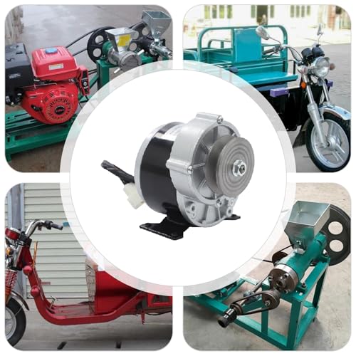 Reduction Electric Motor, 250W Brushed DC Motor with Belt Pulley, Brushed Geared Reduction Motors Reducer for Small Electric Vehicles and Agricultural Equipments, 0-300rpm Adjustment (36, Volts (DC))