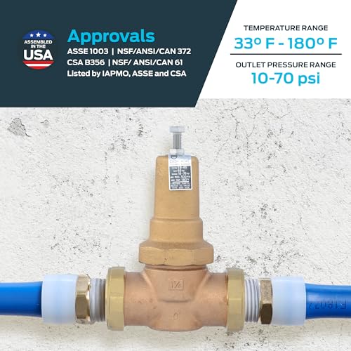 Cash Acme EB45 Pressure Regulating Valve, Double Union, 1-1/4 Inch Expansion, Metal Top, 60 PSI, PVA35M-DUEX-60 - size: 1-1/4 in., 60 PSI
