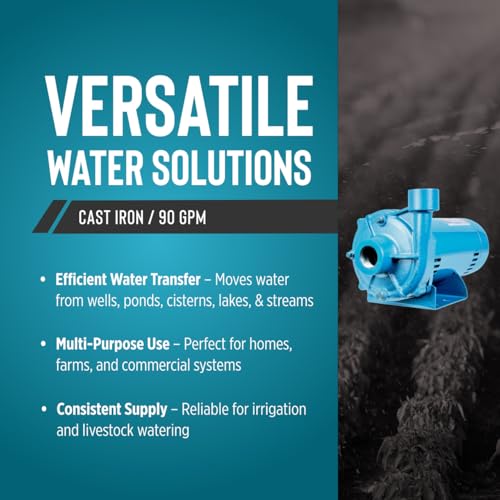 Little Giant 1 HP Cast Iron Centrifugal Pump, 115/230V, Blue - style: 1 HP, 5400 GPH