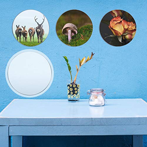 16 Pcs Clear Acrylic Circle Blanks, 4 Inch/ 10.16 cm, Clear - color: Clear, size: 4 Inch
