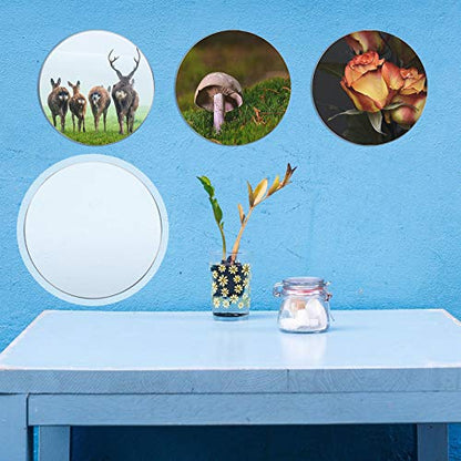 16 Pcs Clear Acrylic Circle Blanks, 4 Inch/ 10.16 cm, Clear - color: Clear, size: 4 Inch