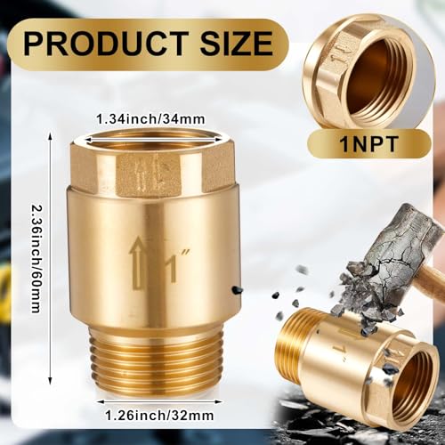 Zonon 2 Pcs 1 Inch Check Valve, One Way Spring Brass Check Valve - size: 1 Inch