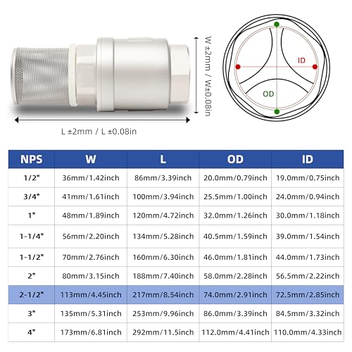 2-1/2" NPT Foot Valve with Filter, Stainless Heavy Duty Female Thread, DN65 - size: 2.5 Inch