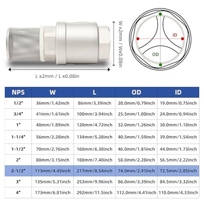 2-1/2" NPT Foot Valve with Filter, Stainless Heavy Duty Female Thread, DN65 - size: 2.5 Inch