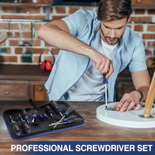 WORKPRO 10-Piece Magnetic Screwdriver Set with Pouch, Blue - color: Blue