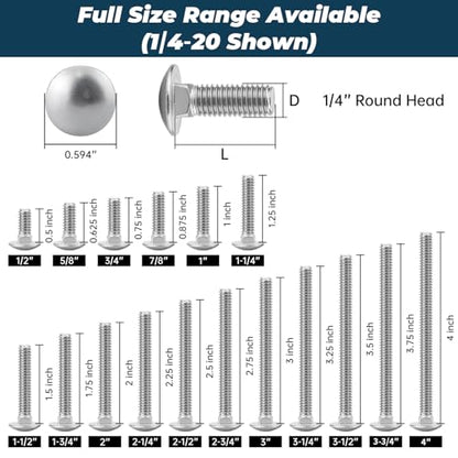 1/4-20 x 2-1/2 Inch Carriage Bolt Kit, 304 Stainless Steel (18-8) with Hex Nuts & Flat Washers - 16 Sets, Round Head Square Neck, Full Thread Coverage by Glvaner - size: 1/4-20 x 2-1/2"