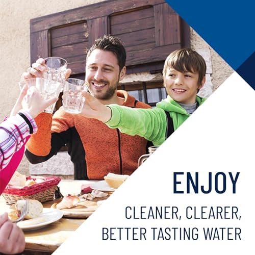 Pentair Pentek NCP-20 Carbon Water Filter, 20-Inch, Whole House Non-Cellulose Carbon Impregnated Pleated Filter Cartridge, 20" x 2.5", 10 Micron - size: Pack of 1, style: 20" x 2.5"