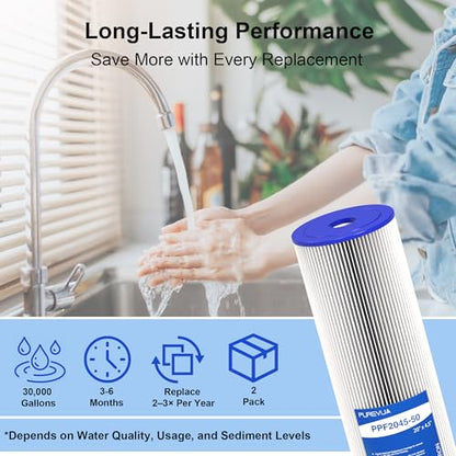 20" x 4.5" Pleated Sediment Water Filter Cartridge 50 Micron 2-Pack - size: 2 Count (Pack of 1), style: 50 Micron