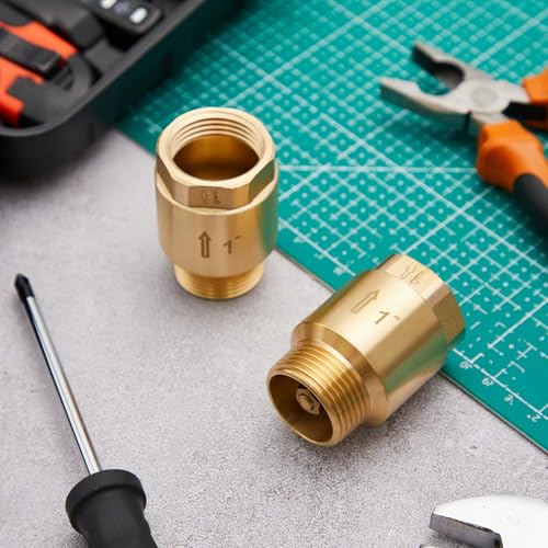 Zonon 2 Pcs 1 Inch Check Valve, One Way Spring Brass Check Valve - size: 1 Inch