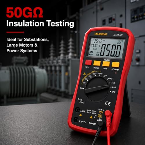 2500V Megohmmeter and True RMS Multimeter for Industrial Testing, 50GΩ