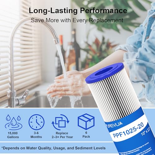 20 Micron Pleated Water Filter Cartridge 10" x 2.5", 6-Pack - size: 20 Micron
