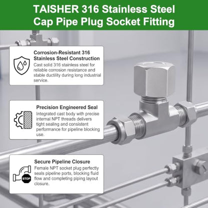 TAISHER 5Pcs 316 SS Hex Pipe Cap, 3/4" Female NPT Thread Pipe Fitting - size: 3/4"FNPT(316 Cap)