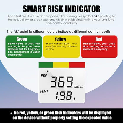 Sonmol Digital Peak Flow Meter PEF FEV1 Tester with Color Indicators