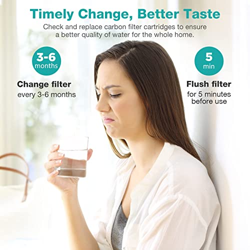 SimPure 5 Micron 10" x 2.5" Whole House CTO Carbon Sediment Water Filter - size: 24 Count, style: Carbon