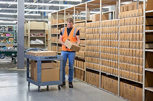 Rubbermaid Commercial Products BRUTE Heavy Duty 2-Shelf Utility/Service Cart, Medium, Lipped Shelves, Ergonomic Handle, 500 lbs. Capacity, Gray, for Warehouse/Garage/Cleaning/Maintenance/Stadiums - color: Gray, size: Medium, style: 2-Shelf