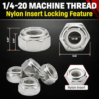 Chenango Supply 1/4-20 Stainless Nylon Insert Lock Nuts