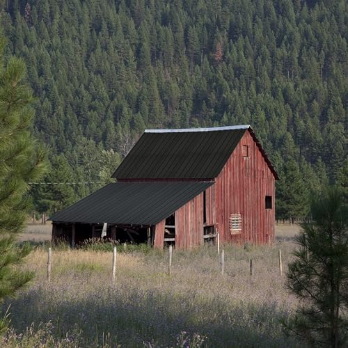 Metal Roof Panels 10Pcs Roofing Panels Galvanized Steel with Screw Resistant,Versatile and Durable Suitable for Garages,Sheds, Stables and Mobile Homes Black 70 sq.ft - color: Black, size: 10 pcs/L60.63"
