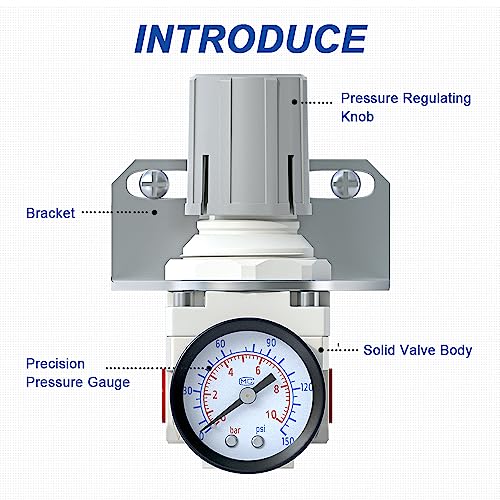 AIRZOE 1/4" NPT Air Pressure Regulator,Compressed Air System,Mini Air Regulator AR2000-02,0-150 PSI Gauge - size: 1/4" NPT