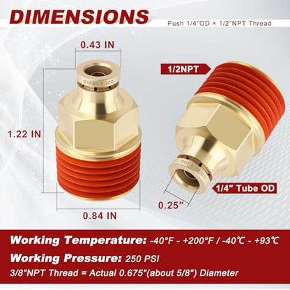 DOT Approved Male Straight Brass Union 1/4" Tube x 1/2" NPT, 4PCS - size: 1/4" OD x 1/2" NPT