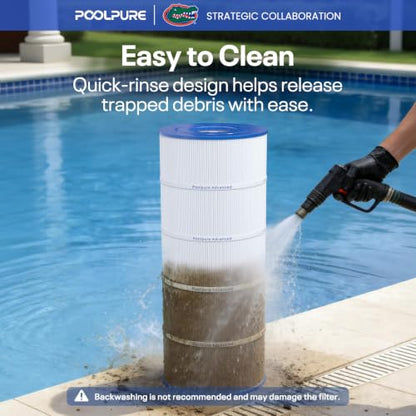 POOLPURE PA150S Pool Filter Replaces Hayward CX150XRE, PA150S, Ultral-D4