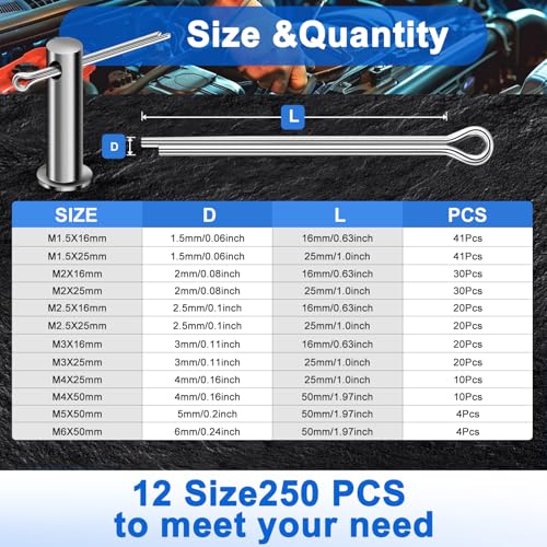 250PCS Cotter Pin Assortment Kit, 12 Sizes, 304 Stainless Steel, Hardware Pins for Trailer, Truck, Tractor, Automotive, Hitch and Locking Systems - size: 250Pcs - 12 Sizes