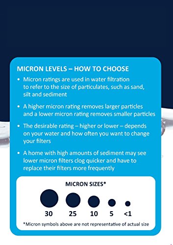 EcoPure EPW2P Pleated Universal Whole Home Water Filter – Fits Standard Capacity Systems – NSF Certified-– 30 Micron-– Reduces Sediment,Sand,Dirt & Rust-– 3-Month Life per Filter,(Pack of 4) - size: 2 Count (Pack of 4), style: Pleated Filter