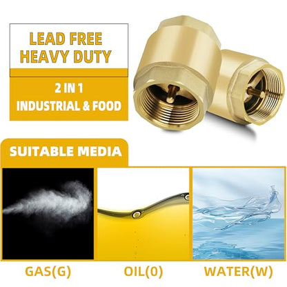 1/2" NPT Vertical Spring Check Valve, Brass, Heavy-Duty, Female Thread DN15 - size: 1/2"-NPT