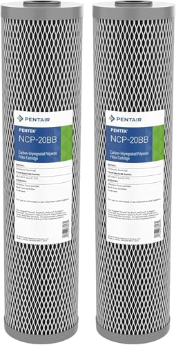 Pentair Pentek NCP-20BB Big Blue 20-Inch Carbon Filter, Pack of 2 - size: Pack of 2, style: 20" x 4.5"