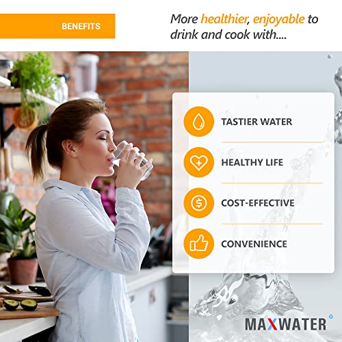 Max Water 5 Micron 20 x 4.5 Sediment Filter 20 inch Replacement Cartridge - size: 10 Counts, style: 5 Micron