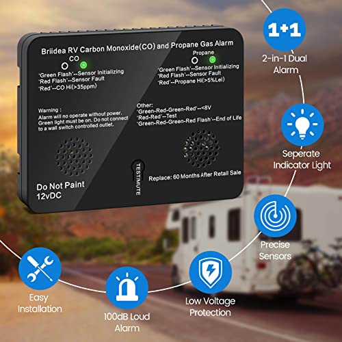 briidea 2-in-1 RV Accessories Gas Detector