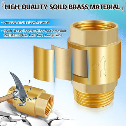 Boltigen 1" Brass Check Valve, NPT Spring One-Way Backflow Preventer - size: 1" Female * 1'' Male