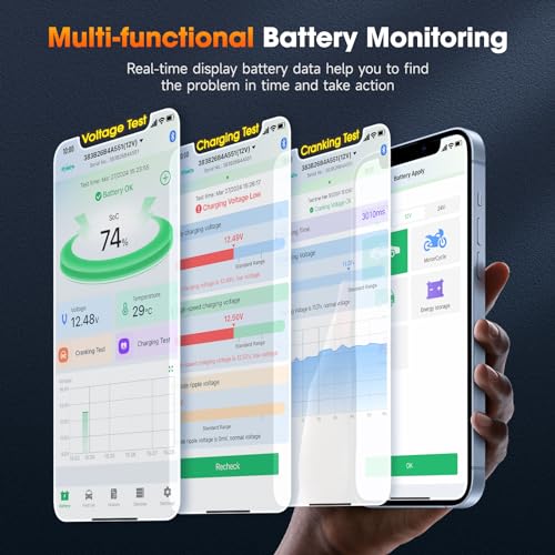 ANCEL BM300 Pro Bluetooth Battery Monitor for 6V, 12V and 24V Systems - color: Orange