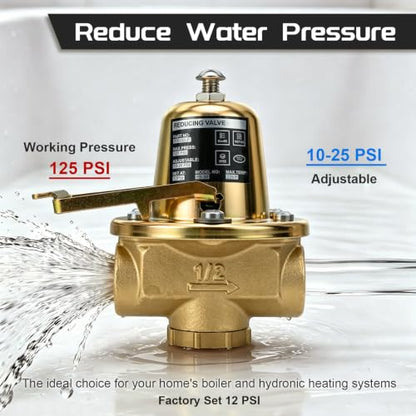 110192 FB-38 1/2" Pressure Reducing Valve For Residential Heating Systems