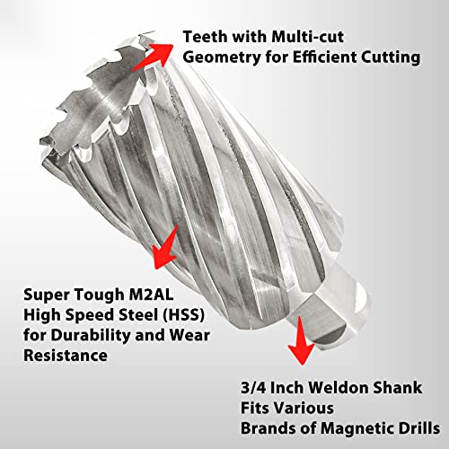 S&F STEAD & FAST Annular Cutter with Pilot Pin, 1-1/2" x 2", Mag Drill Bit - size: 1-1/2" x 2"