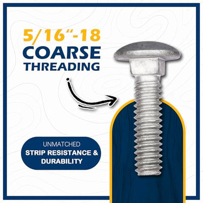 5/16" x 1"Hot Dip Galvanized Grade 307A Carriage Bolt Kit, 50 Pack, Comes with 5/16" USS Flat Washers & 5/16"-18 Hex Nuts, Heavy Duty Exterior Construction Use - size: 5/16*1