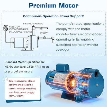 GT15 Self-Priming Single Phase Centrifugal Pump,1-1/2 HP,115/230V