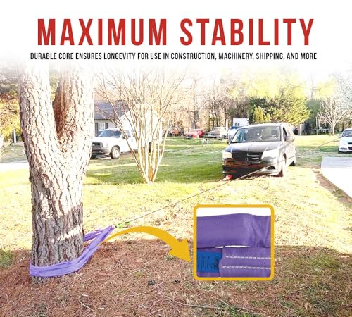 2 Pack 2 ft Purple Polyester Endless Round Sling 2600 LBS Vertical Capacity | 2100 LBS Choker | 5200 LBS Basket | Heavy Duty Endless Sling for Wrecker Recovery, Lifting & Towing - color: Purple - Vertical Capacity: 2,600 lbs., size: 2 Feet, style: 2 - Pac